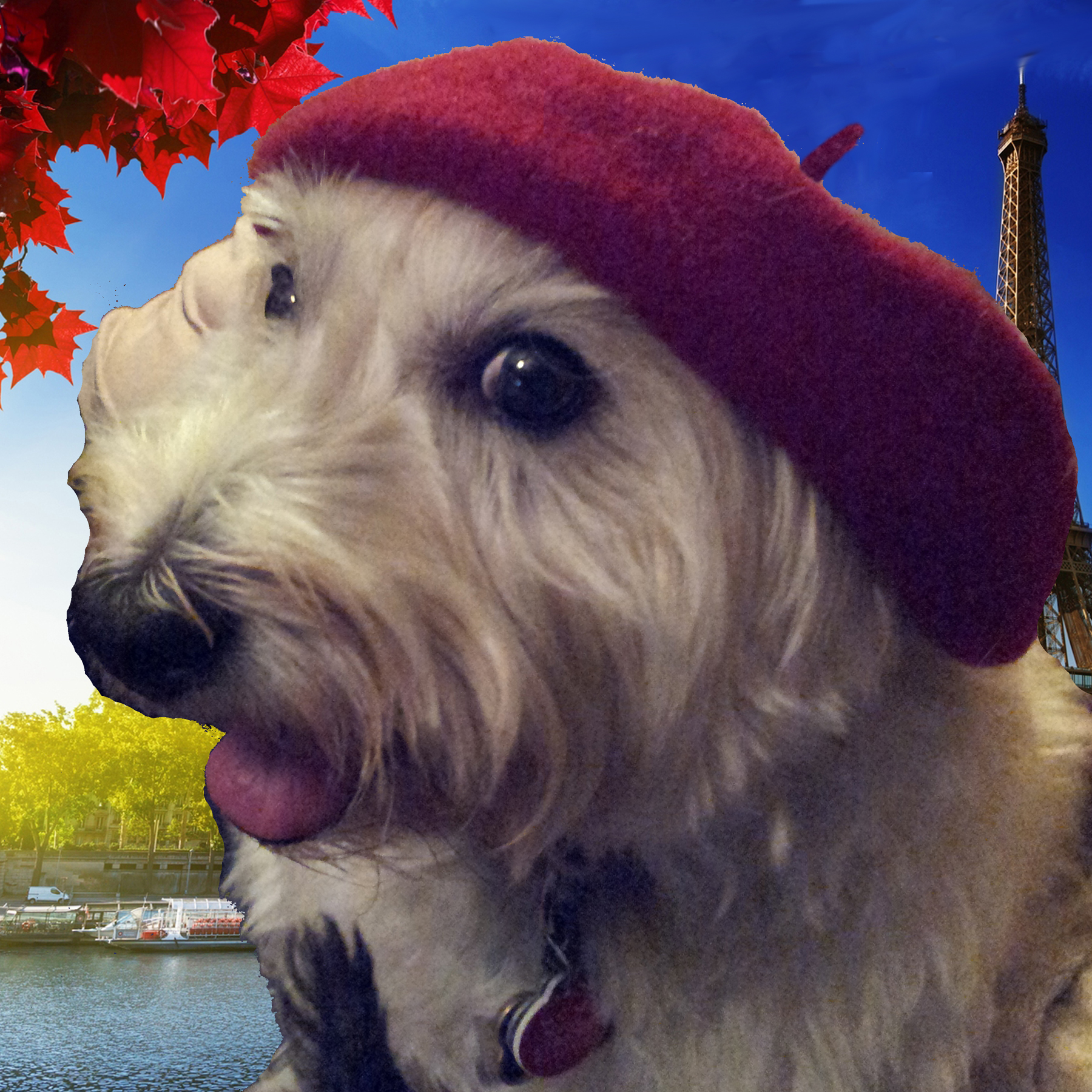 Andy in Paris 1800px